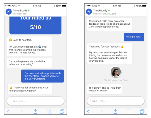 chatbot collecting reviews